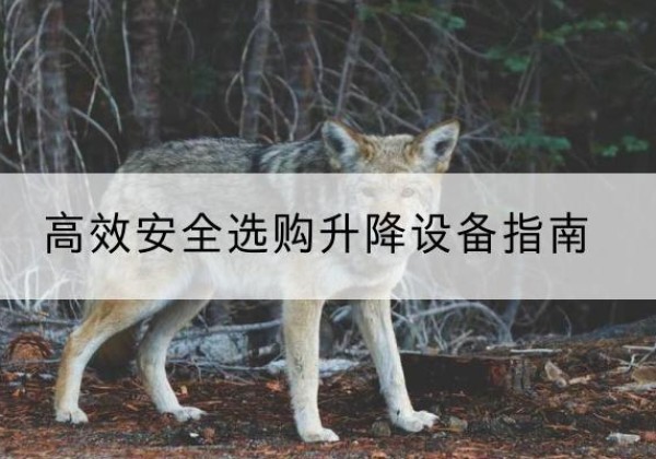 涞水升降货梯厂家推荐-*安全选购升降设备指南