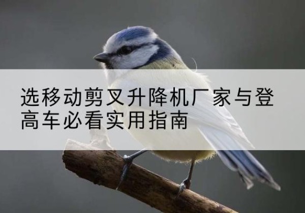 涞水电动升降机厂家-选移动剪叉升降机厂家与登高车必看实用指南